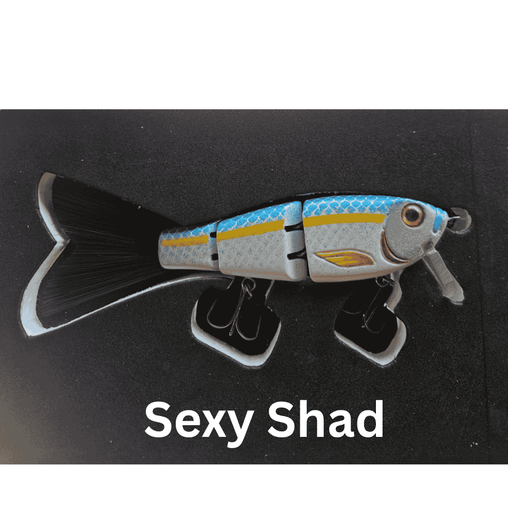 Wizzard Wake Bait 5.5" — 1.4oz Slow Sinking/ Dual Action